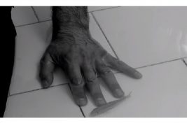 السمكة وأنا