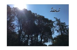 محمد