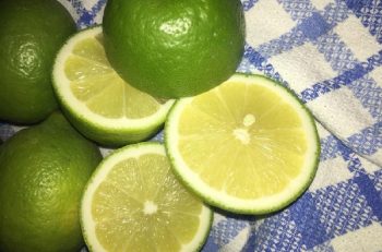 CCCCCITRON