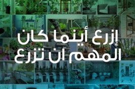 زراعة 1