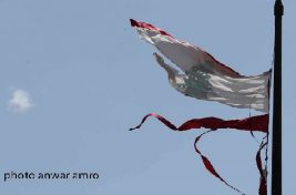 صورة أنور