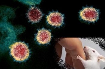 كورونا المتحوّر