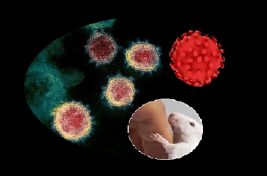 كورونا المتحوّر