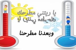 غارو نيو
