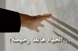 الحياة شو رخيصة