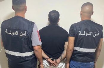 امن الدولة