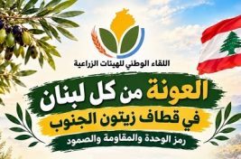 قطف الزيتون غلاف