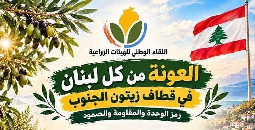 قطف الزيتون غلاف